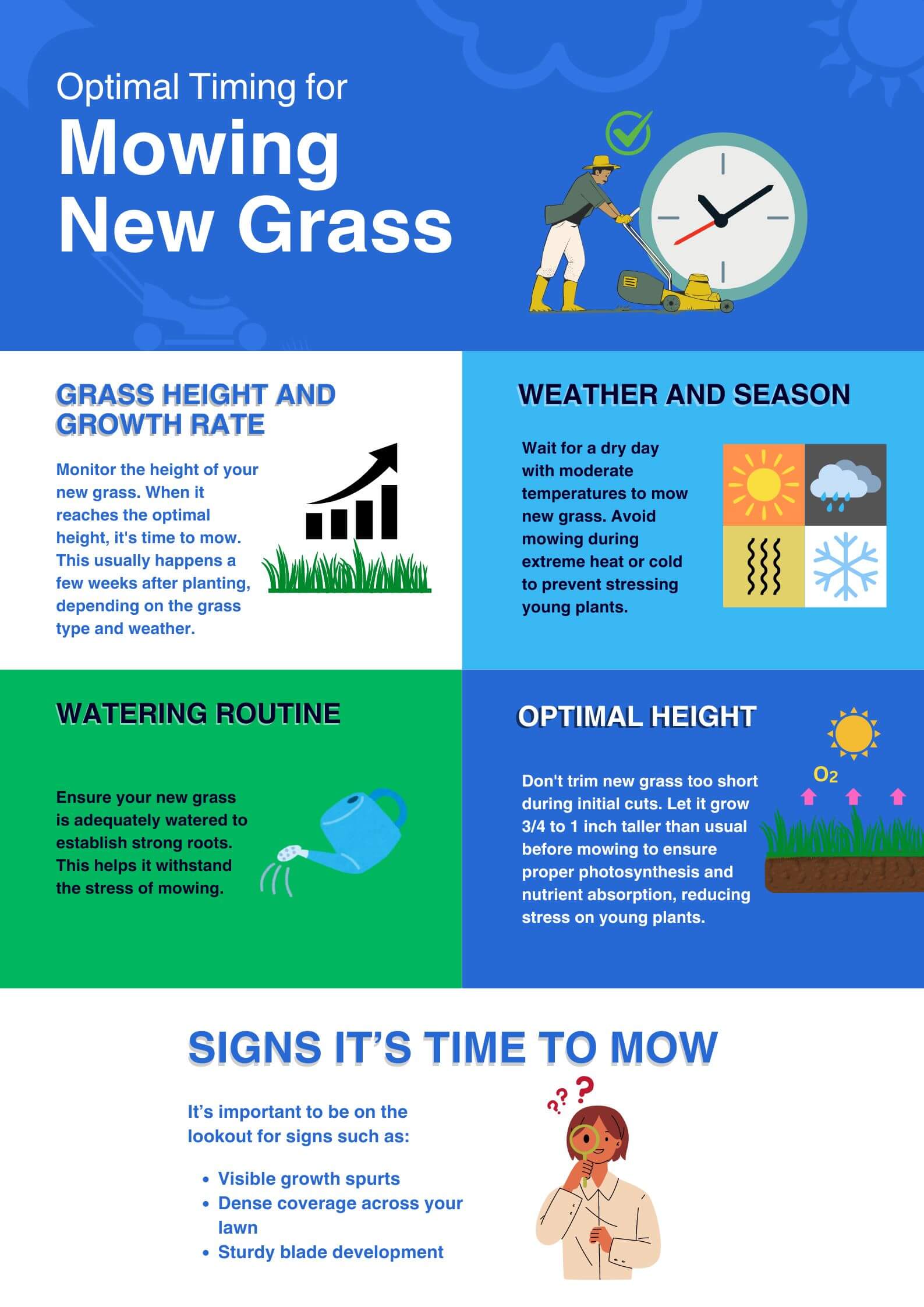 optimal timing for mowing new grass infographic